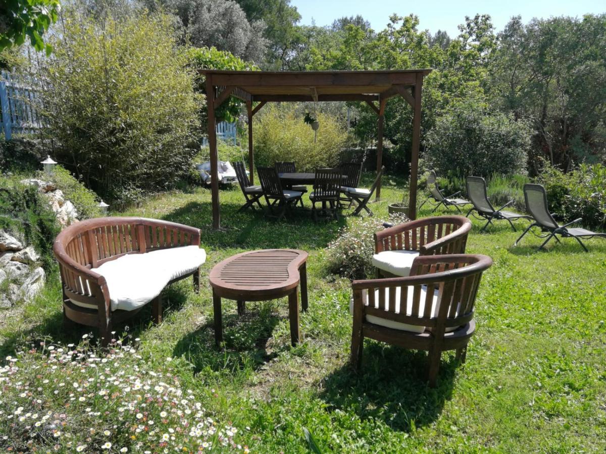 Bastide Provencale Les Muriers D'Engaspaty Seillans Kültér fotó